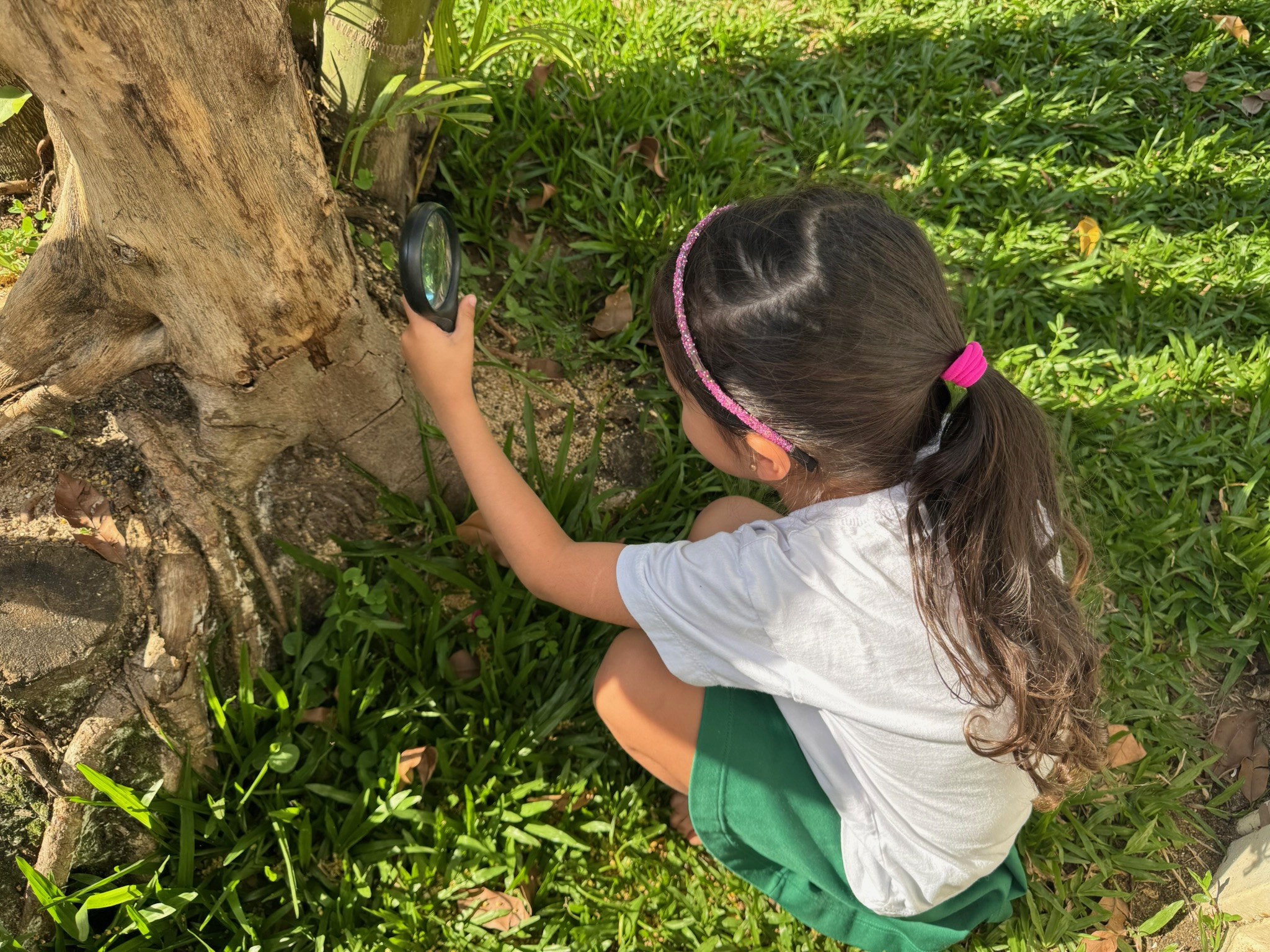 Pé no Chão Jardim Berçário e Educação Infantil Vila Leopoldina SP